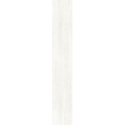 FOREST WHITE MAT 20X120...