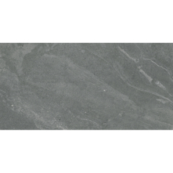 ECCHIO GRIS MAT 60X120...