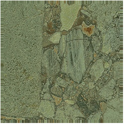 CHECKERS STARRY GREEN GIADA...