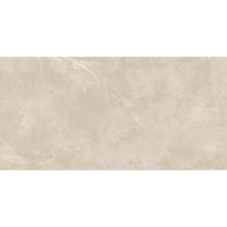 STATUS BEIGE MAT 60X120...