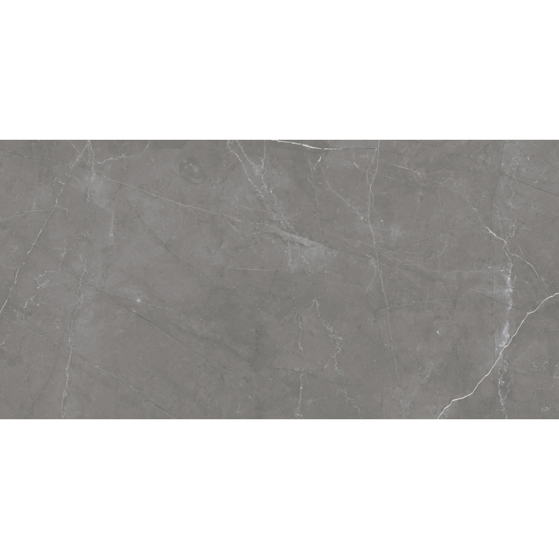 TEKALI GRIS POLER 60X120 REKT. GAT.1 (P.93595)