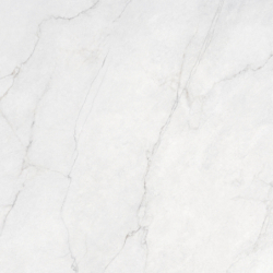 DISCOVER BLANCO POLER...