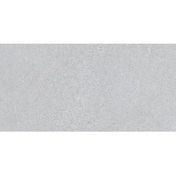 ELBURG-R GRIS MAT 29,3X59,3...