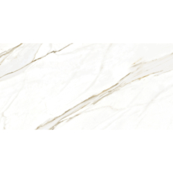 GOLDEN WHITE MAT 60X120...