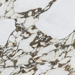 LES BIJOUX ODILON-R POLER...