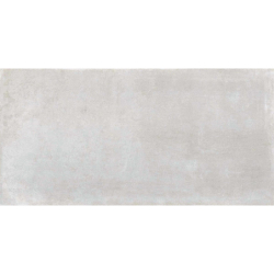 LENS-R CENIZA MAT 60X120...