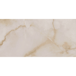 BASIL BONE POLER 60X120...