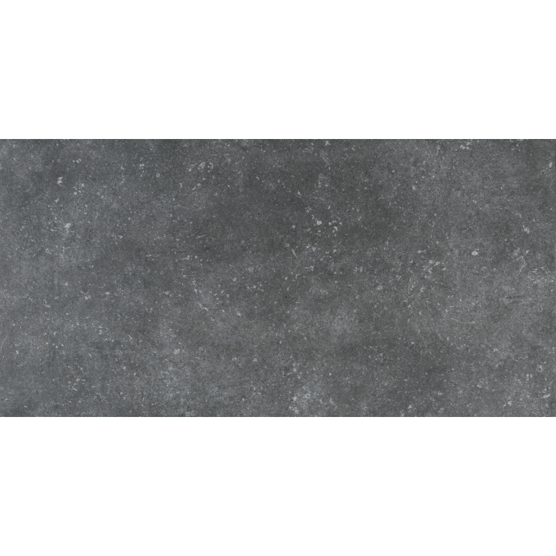 GRAIN STONE SILVER MAT 60X120 REKT. GAT.1 (P.93035)