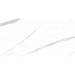 STATUARIO CARA LAPPATO CARVING 60X120 REKT.  GAT.1 (P.90085)