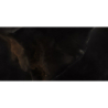 BLACK ONYX BEAUTY HG POLER 60X120 REKT. GAT.1 (P.90095)