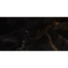 BLACK ONYX BEAUTY HG POLER 60X120 REKT. GAT.1 (P.90095)