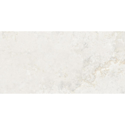 SIERRA WHITE CARVING 60X120...