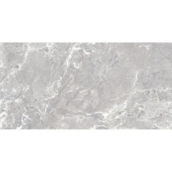 SNAKE STONE SILVER SUGAR...