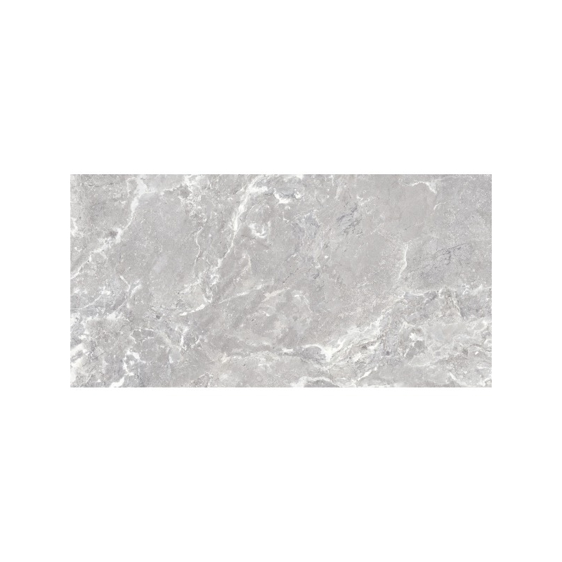 SNAKE STONE SILVER SUGAR 60X120 REKT. GAT.1 (P.58713)