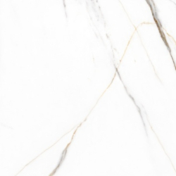 STATUARIO CARA POLER 60X60...