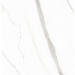 STATUARIO CARA POLER 60X60 REKT.  GAT.1 (P.90109)