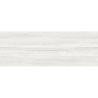 STONEAGE CONCEPT WHITE MAT 25X70 GAT.1 (P.90343)