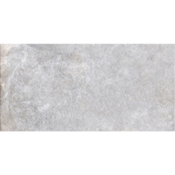 ICONIC GREY MAT 60X120...