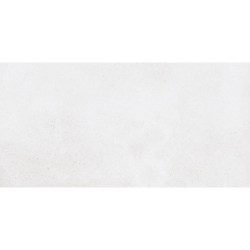 HARLEM WHITE MAT 60X120...