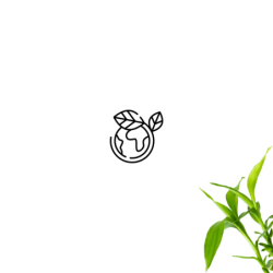 Kolumna prysznicowa ANGO deszczownica LED termostat wylewka obrotowa chrom CORSAN LED02TCHW