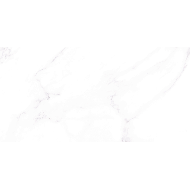 ROMEU MAT 60X120 REKT. GAT.1 (P.95059)