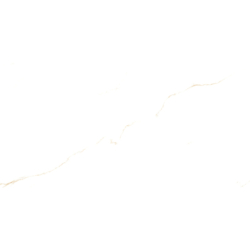 ALMA GOLD POLER 60X120...