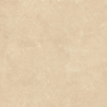 HERITAGE BEIGE MAT 60X60 REKT. GAT.1 (P.94633)