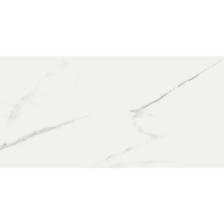 LUKSY SILVER MAT 60X120...