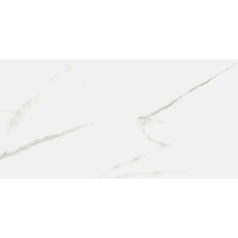 LUKSY SILVER MAT 60X120 REKT. GAT.1 (P.95491)