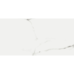 LUKSY SILVER MAT 60X120 REKT. GAT.1 (P.95491)