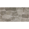 RLV ALPES GRIS 25X50 GAT.1 (P.95269)