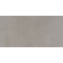 ETNA GRIS SILK 60X120 REKT....