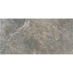 ANAYA ARGENT MAT 30,3X61,3...