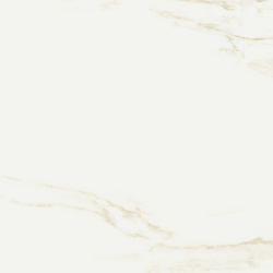 LUKSY GOLD MAT 60X60 REKT....