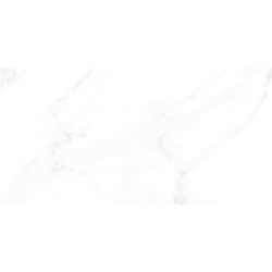 ROMEU BRILLO POŁYSK 60X120...