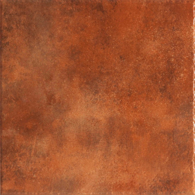 LEON TERRA MAT 45X45 GAT.1 (P.94865)