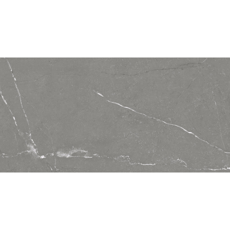 VITAY GREY MAT 60X120 REKT. GAT.1 (P.95567)