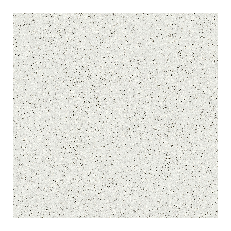 ANIET WHITE MAT 60X60 REKT. GAT.1 (P.95521)
