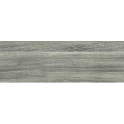 CANET GRIS MAT 20X60 GAT.1...