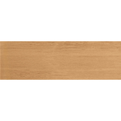 FRESNO ARCE MAT 20X60 GAT.1...