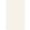 VIVIAN BIANCO SCIANA 25X40 GAT.1 (P.9875)
