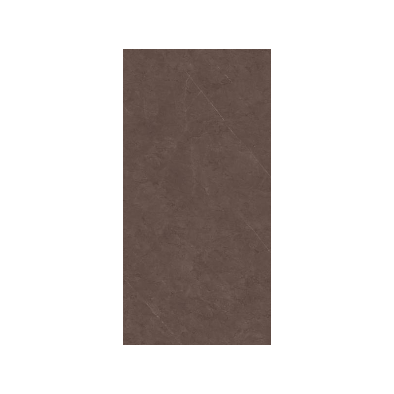 U123 TAUPE POLER 60,0x120,0 (P.96781)