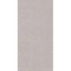 MACROSIDE SILVER GRES SZKL. REKT. POLPOLER 59,8X119,8 GAT.1 (P.96803)