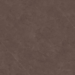 U123 TAUPE POLER 60,0x60,0...