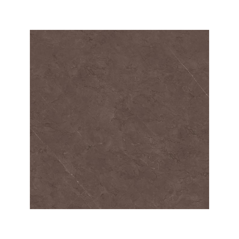 U123 TAUPE POLER 60,0x60,0 (P.96891)