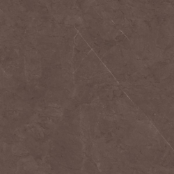 U123 TAUPE POLER 60,0x60,0 (P.96891)