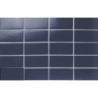 ARKA BLUE SATYNA 5,8X11,6 GAT.1 (P.96205)