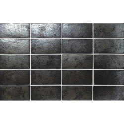 ARKA SILVER SATYNA 5,8X11,6 GAT.1 (P.96219)