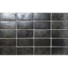 ARKA SILVER SATYNA 5,8X11,6 GAT.1 (P.96219)
