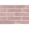 DOWNTOWN ROSE MAT 5,7X23,2 GAT.1 (P.96351)